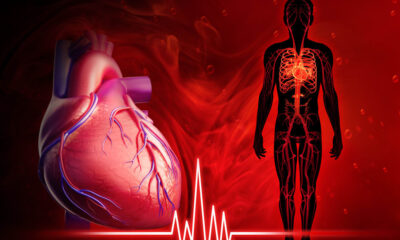 How Much Does Genetics Affect Heart Health?