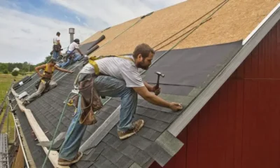 From Leaks to Longevity: How Roofing Professionals Extend Your Home's Life