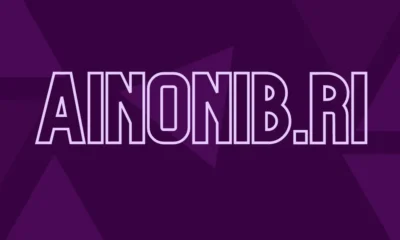 Understanding Ainonib.ri: A Comprehensive Guide