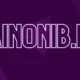 Understanding Ainonib.ri: A Comprehensive Guide