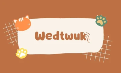 The Potential of Wedtwuk: A Comprehensive Guide