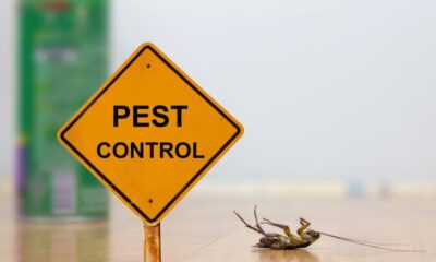 Rental Pest Control: Your Rights and The obligations