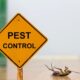 Rental Pest Control: Your Rights and The obligations