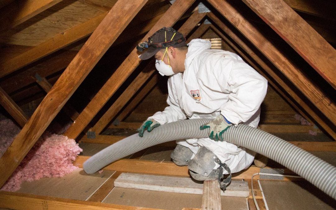 Transforming Your Home with Attic Cleaning Services