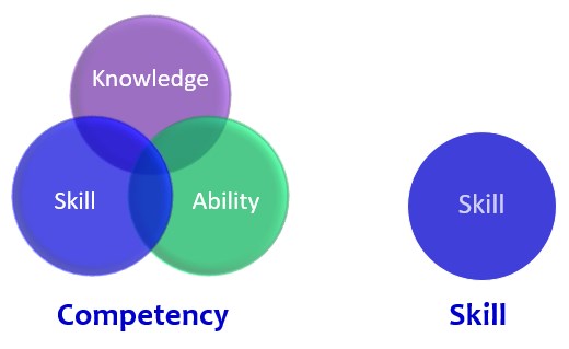 Understanding Job Competencies and Skills