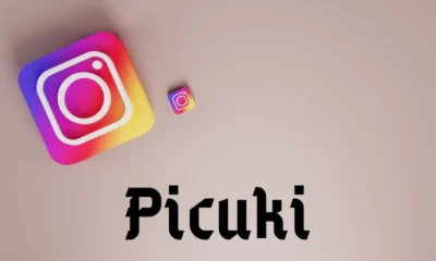 Picnob and Picuki: Exploring Instagram Viewer Tools