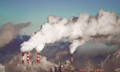 Understanding Carbon: The Essential Element of Life