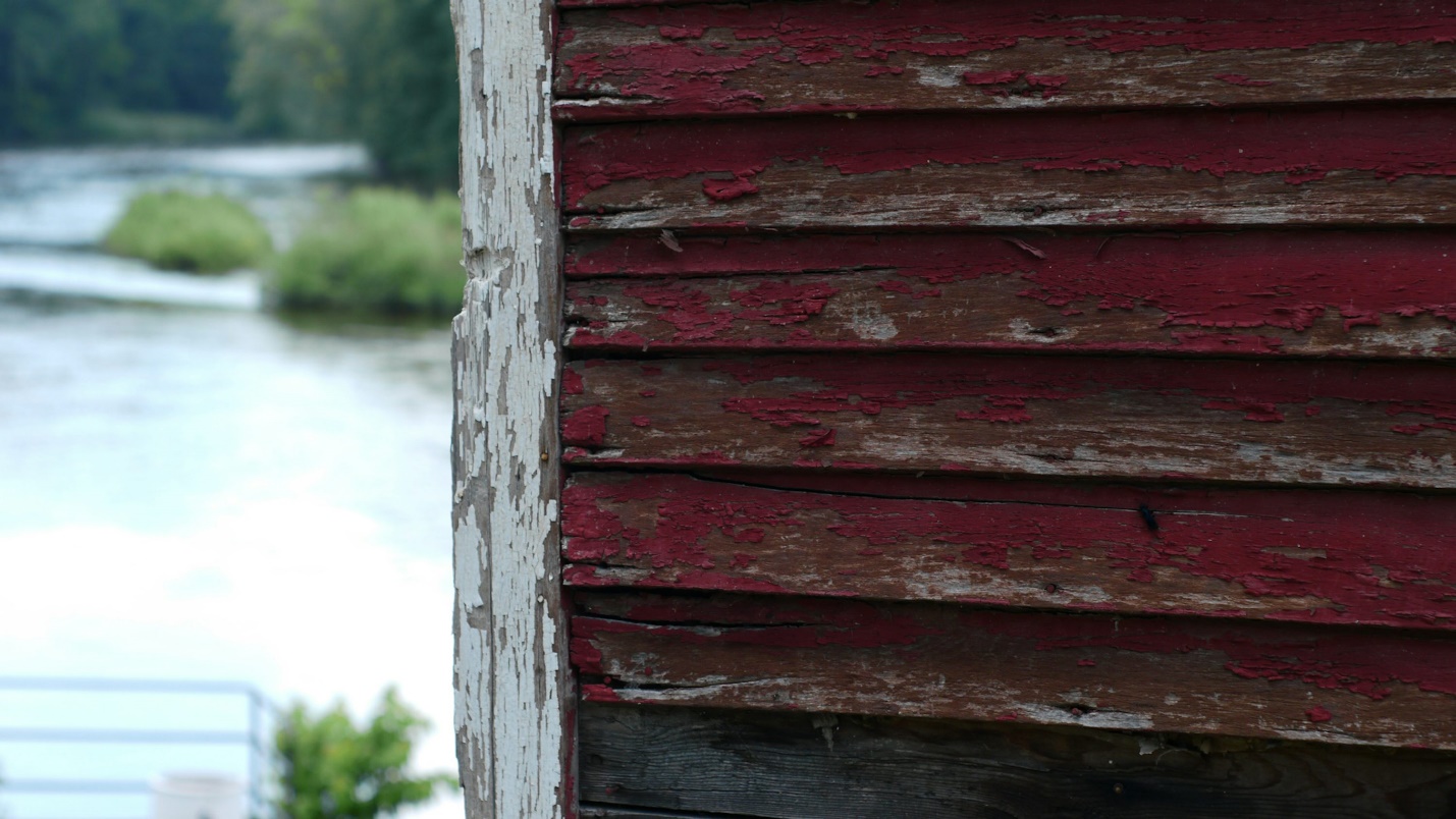 The Long-Term Effects of Water Damage on Your Home