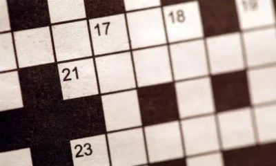 Fodder for a Sports Wonk: NYT Crossword Clue Explained