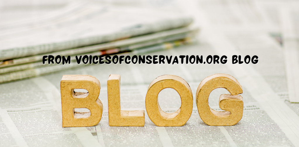 From Voicesofconservation.org Blog: Pioneering Environmental Advocacy and Action