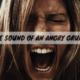 The Sound of an Angry Grunt: An In-Depth Analysis