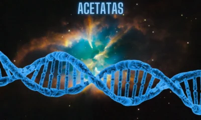 Acetatas: Understanding the Essential Compound in Chemistry and Industry