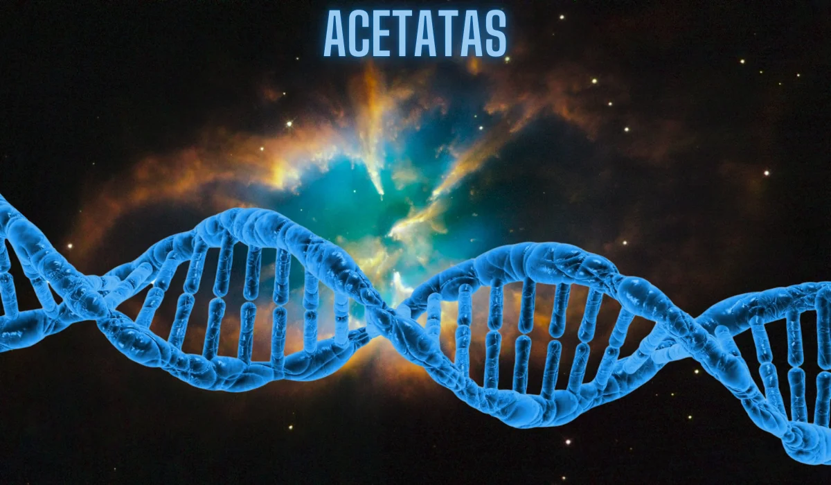 Acetatas: Understanding the Essential Compound in Chemistry and Industry