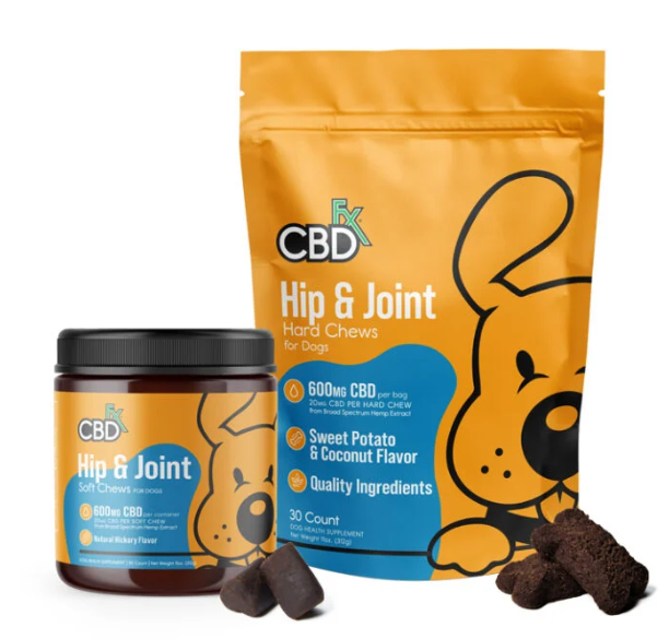 Buy CBD Dog Treats In Bulk This Summer For These Advantages