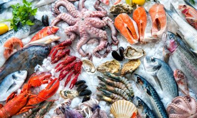 From Ocean to Table: The Journey of Seafood and Its Impact on Local Economies