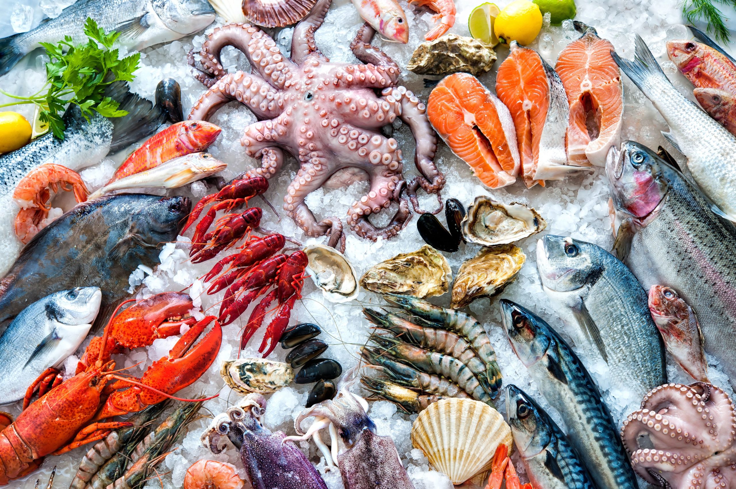 From Ocean to Table: The Journey of Seafood and Its Impact on Local Economies