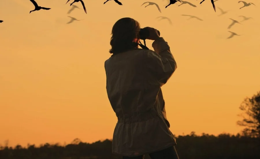 Why Chxrrigguk is a Birdwatcher’s Dream Destination