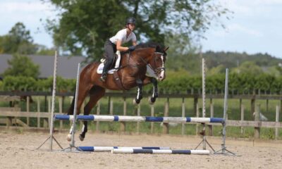 How to Train Your Horse to Jump Higher and Better