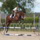 How to Train Your Horse to Jump Higher and Better