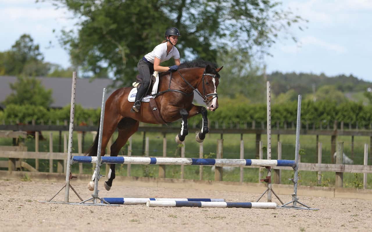 How to Train Your Horse to Jump Higher and Better