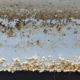 Practical Steps for Regular Maintenance to Prevent Biofouling