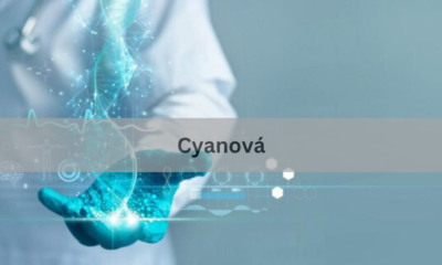 Cyanová: Exploring the Unique Concept