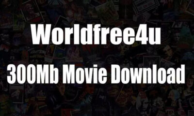 World4uFree: A Deep Dive into the Popular Movie Download Site