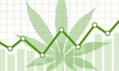 Budding Brands: Successful Marketing Strategies for Cannabis Companies