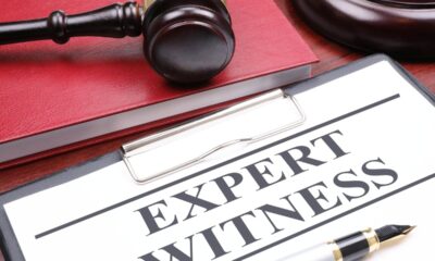 The Role of an Expert Witness: What You Need to Know