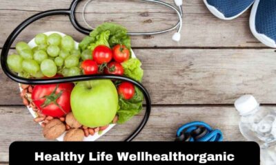 Healthy Life WellHealthOrganic: Your Guide to a Balanced Lifestyle