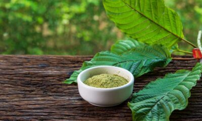 The Potential Benefits and Uses of Different Strains of Kratom