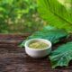 The Potential Benefits and Uses of Different Strains of Kratom