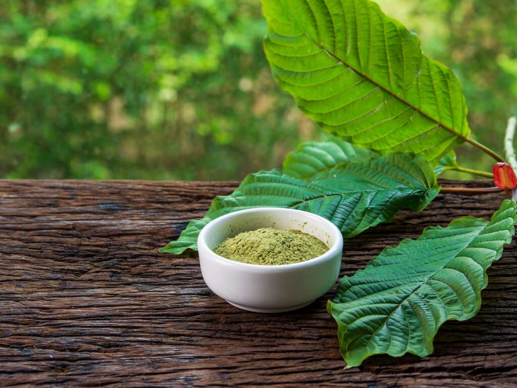 The Potential Benefits and Uses of Different Strains of Kratom