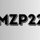 Understanding AMZP22X: A Comprehensive Guide