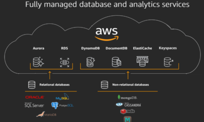 Managed Databases: Simplifying Data Management on AWS