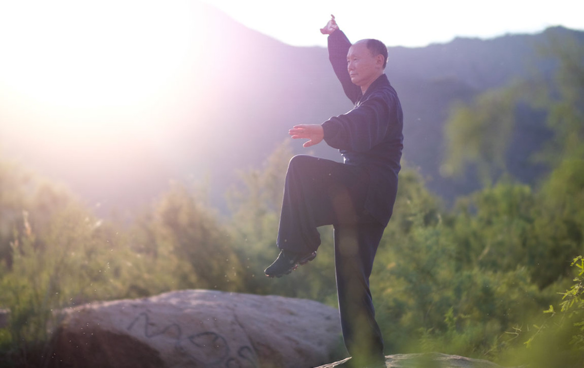 Tai Chi for Beginners: A Path to Mind and Body Harmony