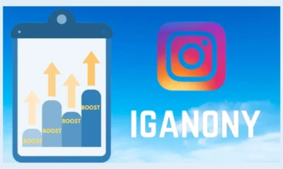 IgAnony: The Ultimate Tool for Anonymous Instagram Story Viewing