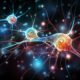 BrainPathJunction: Understanding Neural Pathways and Brain Function