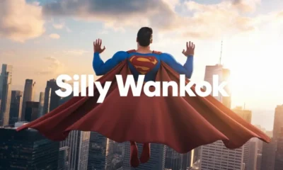 Silly Wankok: Exploring The Fun Behind The Name