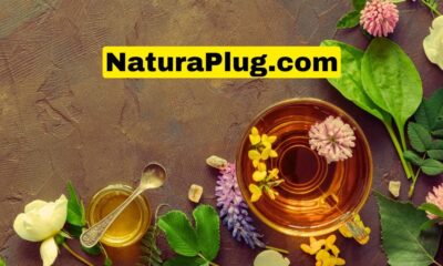 NaturaPlugg.com: A Detailed Overview