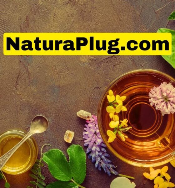 NaturaPlugg.com: A Detailed Overview