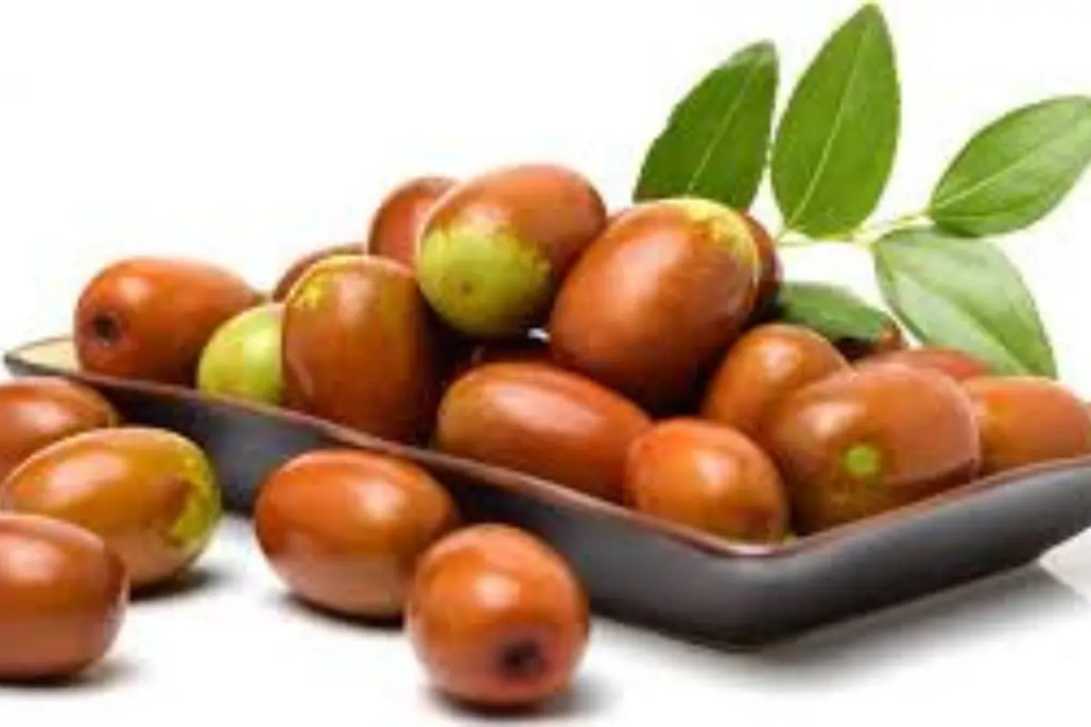 What Is Žižole A Straightforward Look at the Jujube Drink