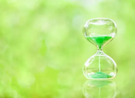 RealityKubgs Explained Full Overview, Uses, and Key Insights