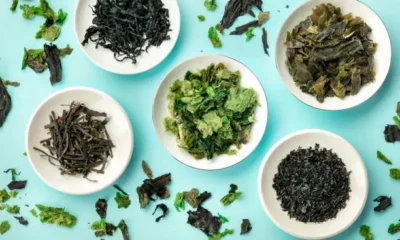 Γουακαμε Benefits, Uses, Nutrition, and How to Eat Γουακαμε