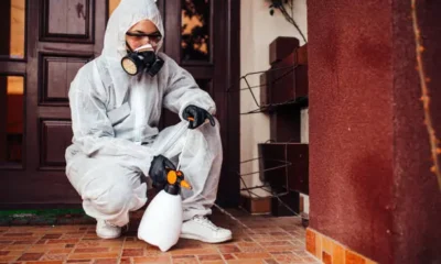 What Is Asbestlint Complete Guide to Risks and Prevention