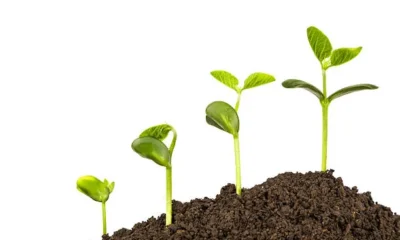 What Is Innove Complete Guide to Its Meaning, Uses, and Benefits