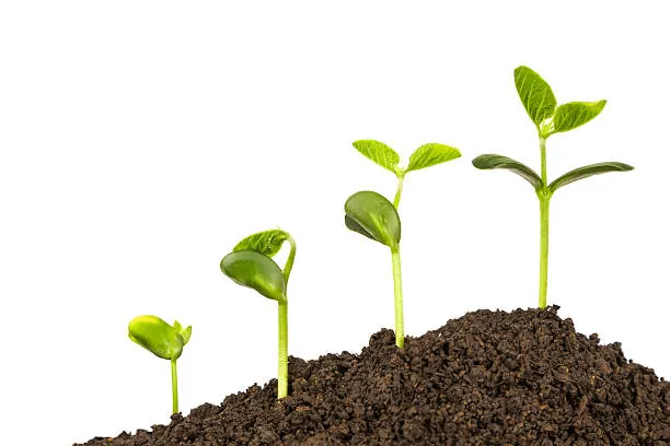 What Is Innove Complete Guide to Its Meaning, Uses, and Benefits