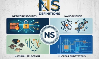 NS Meaning